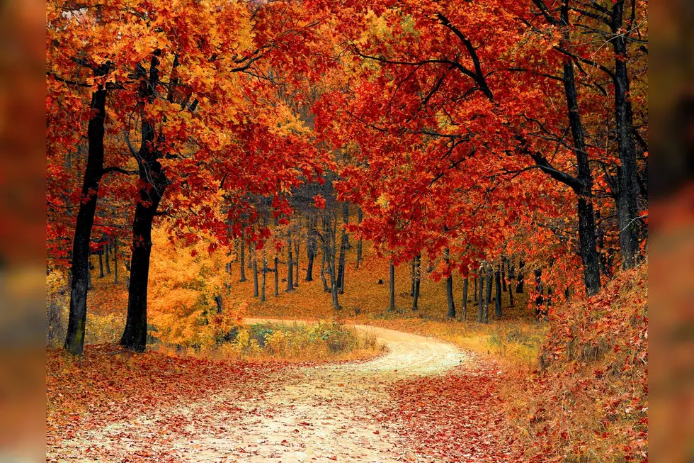When Will the 2022 Fall Foliage Peak in Indiana, Kentucky, and Illinois?