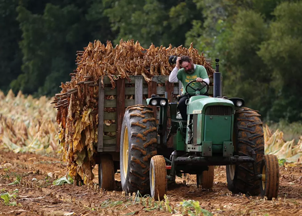Championship Tractor Pull in Louisville this Weekend